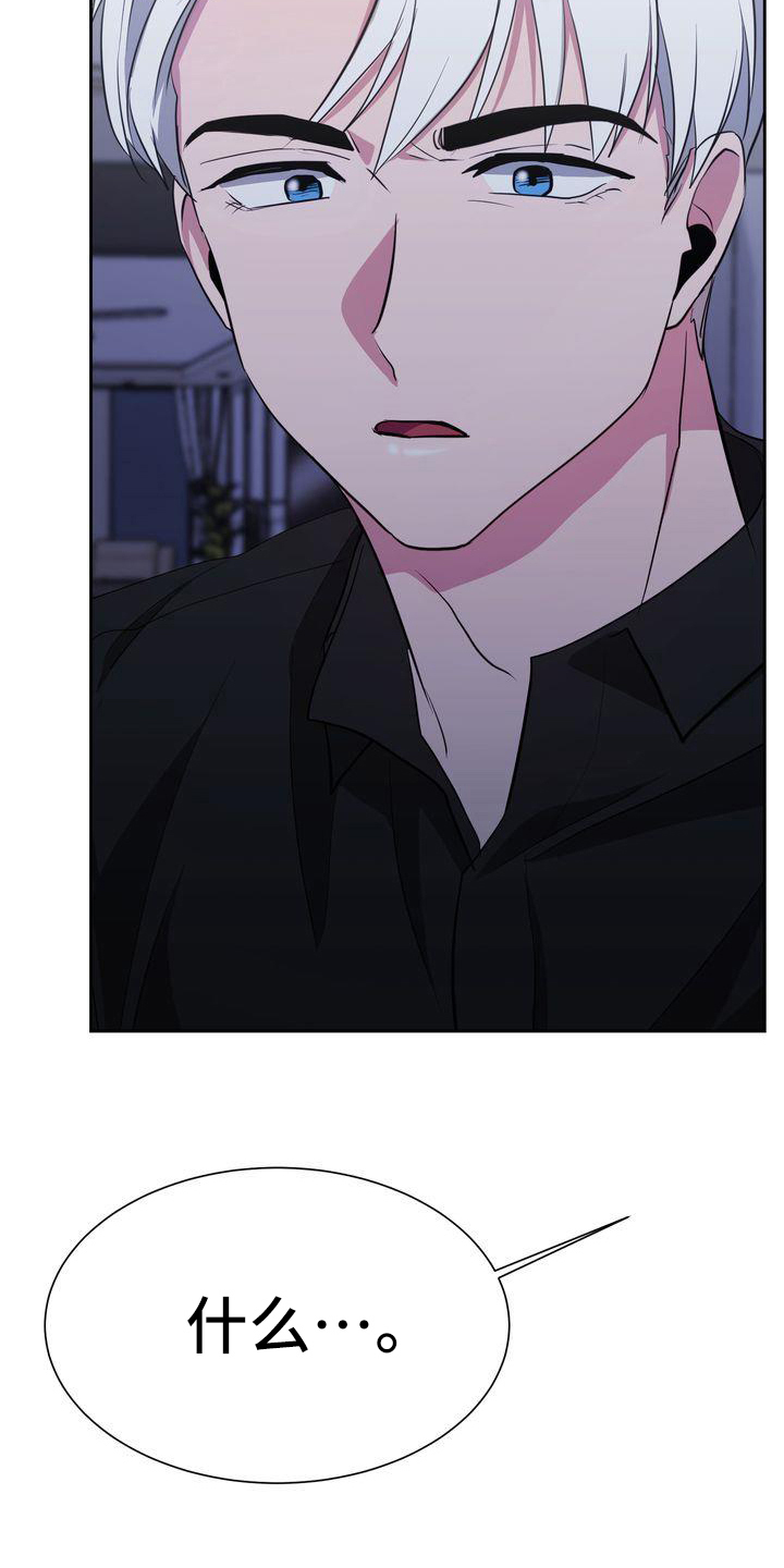《特殊的行动》第28章解释 第17页