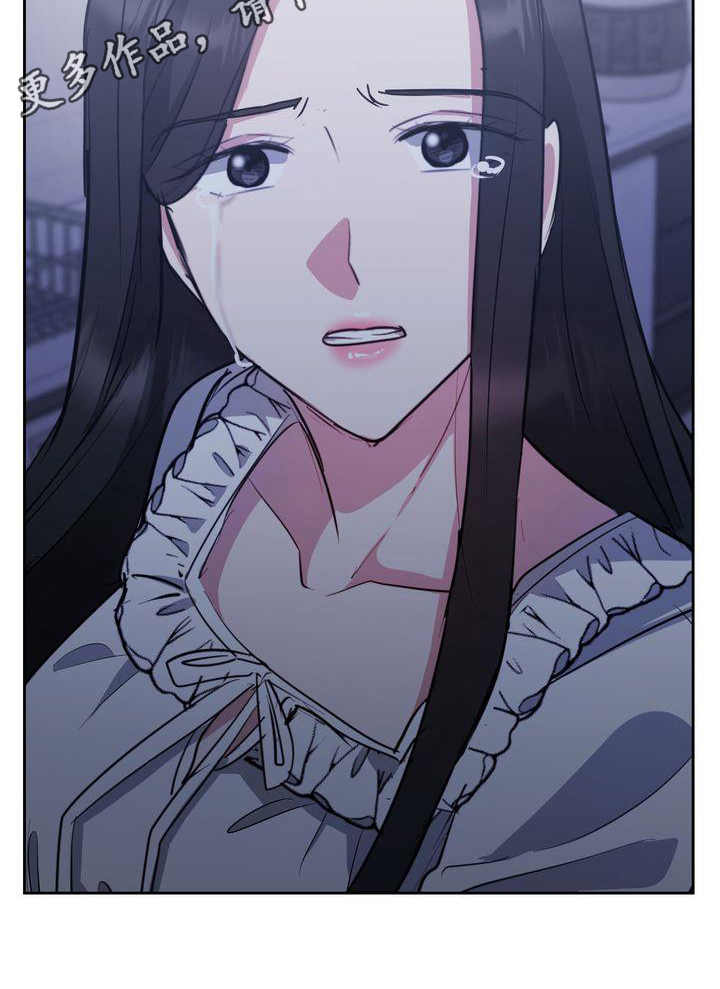 《特殊的行动》第28章解释 第26页