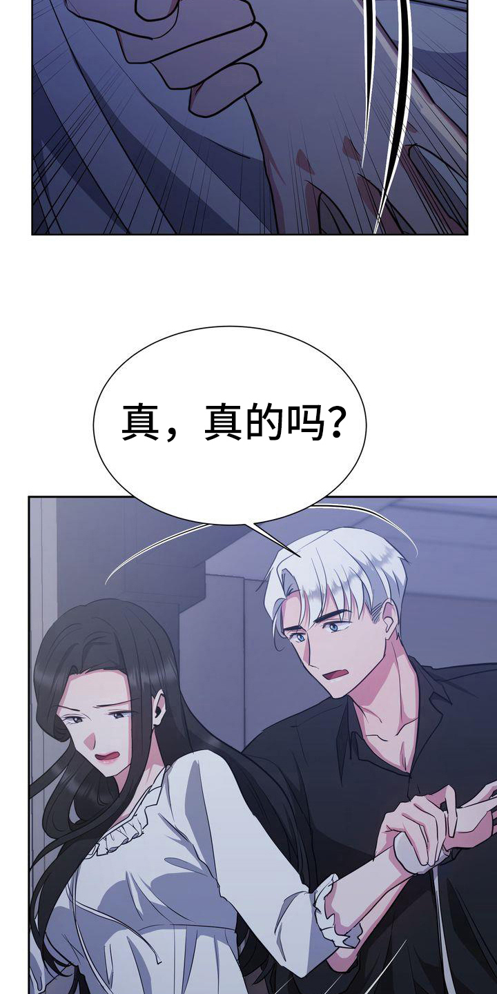 《特殊的行动》第28章解释 第5页