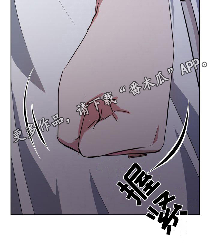 《特殊的行动》第27章变态 第21页