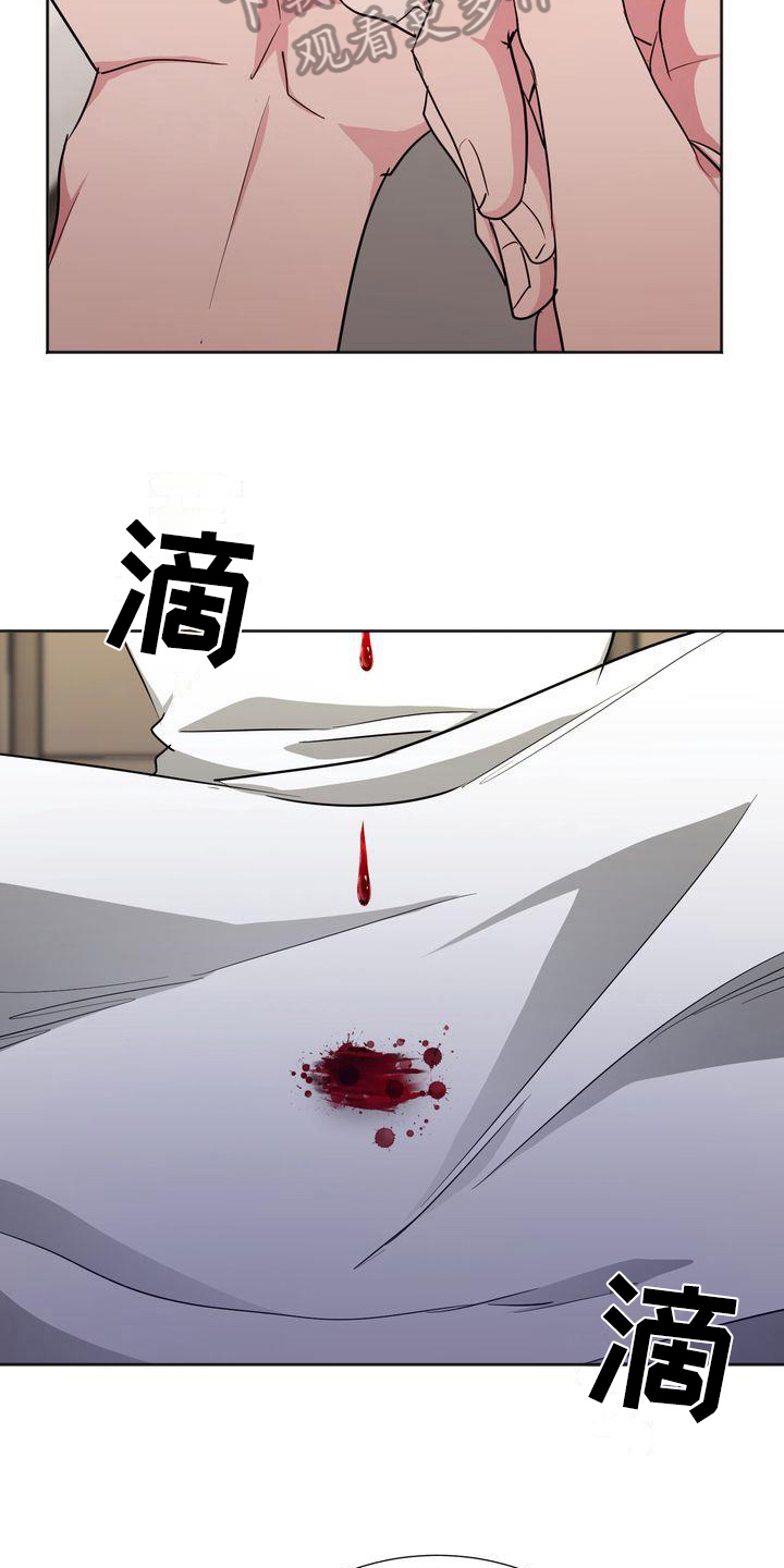 《特殊的行动》第19章流血 第17页