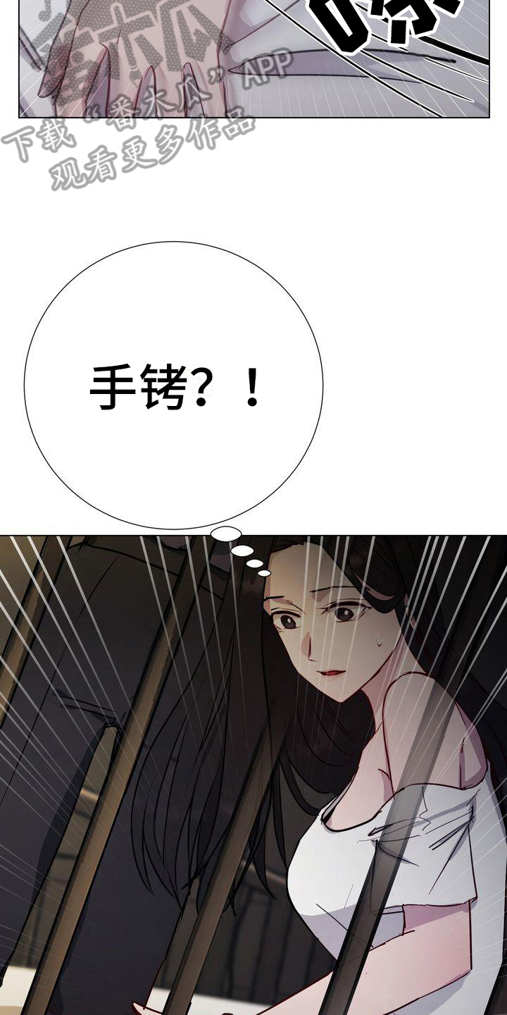 《特殊的行动》第8章监禁 第11页