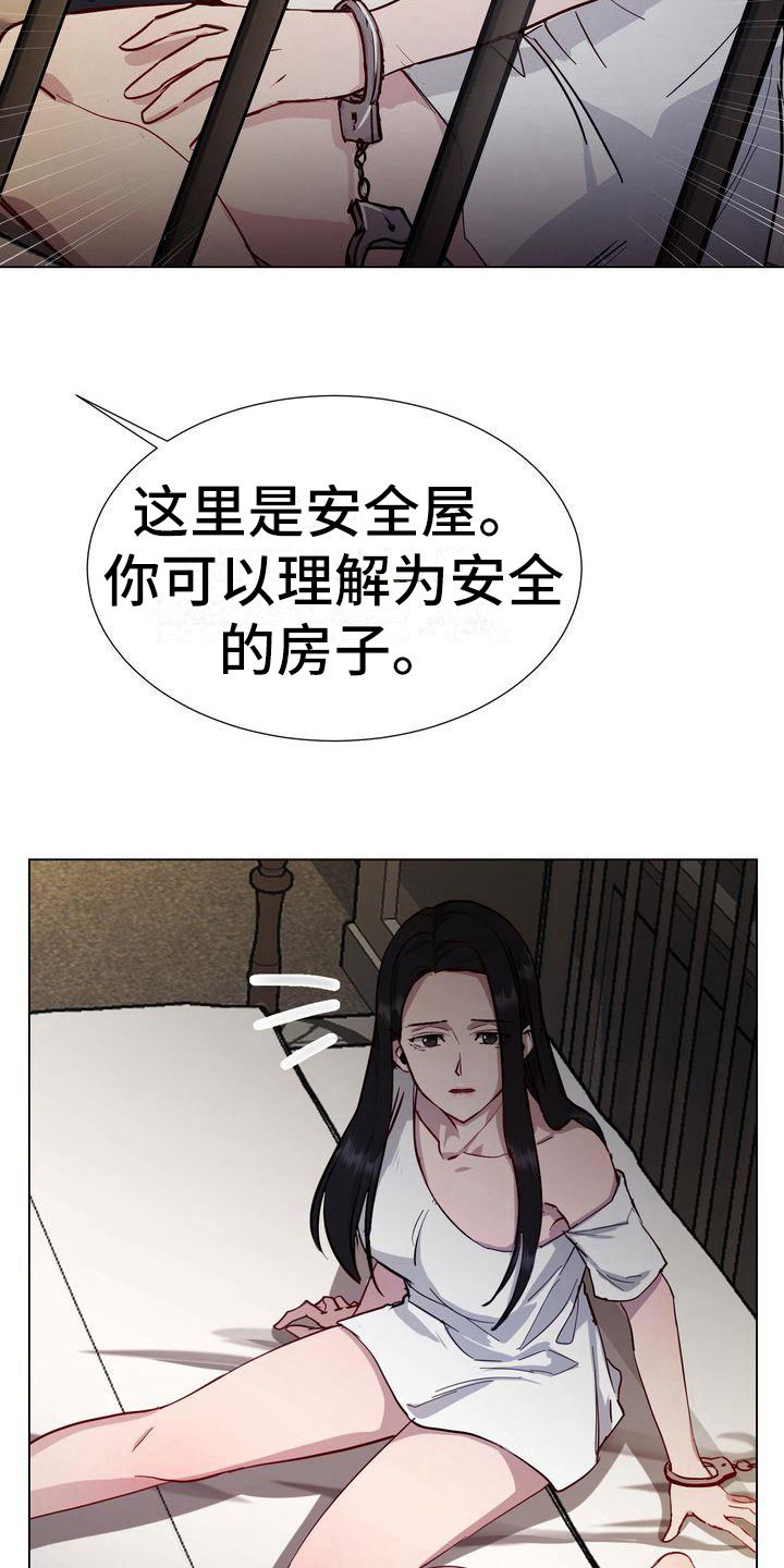 《特殊的行动》第8章监禁 第12页