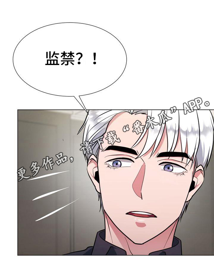 《特殊的行动》第8章监禁 第21页