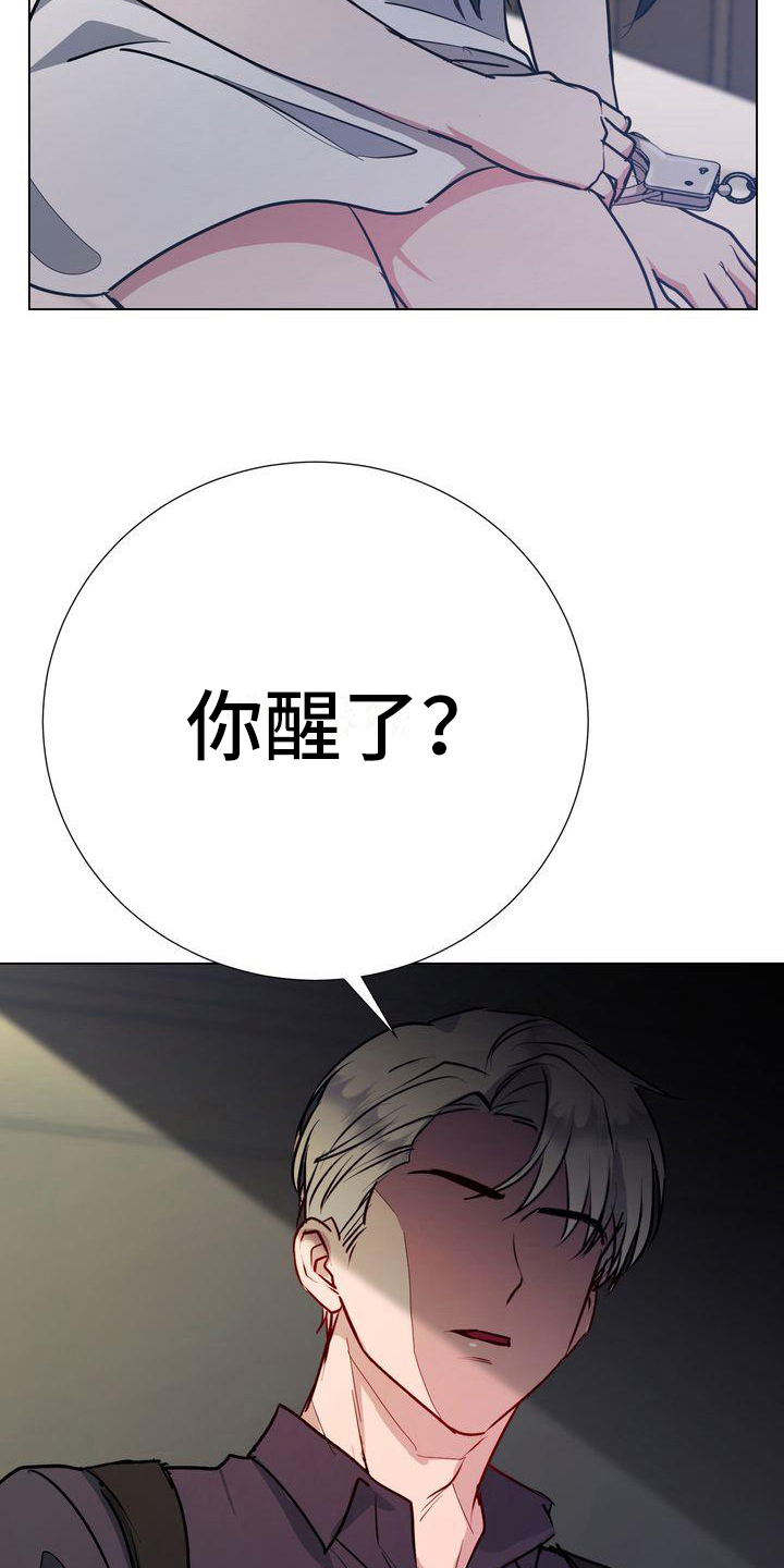 《特殊的行动》第8章监禁 第9页
