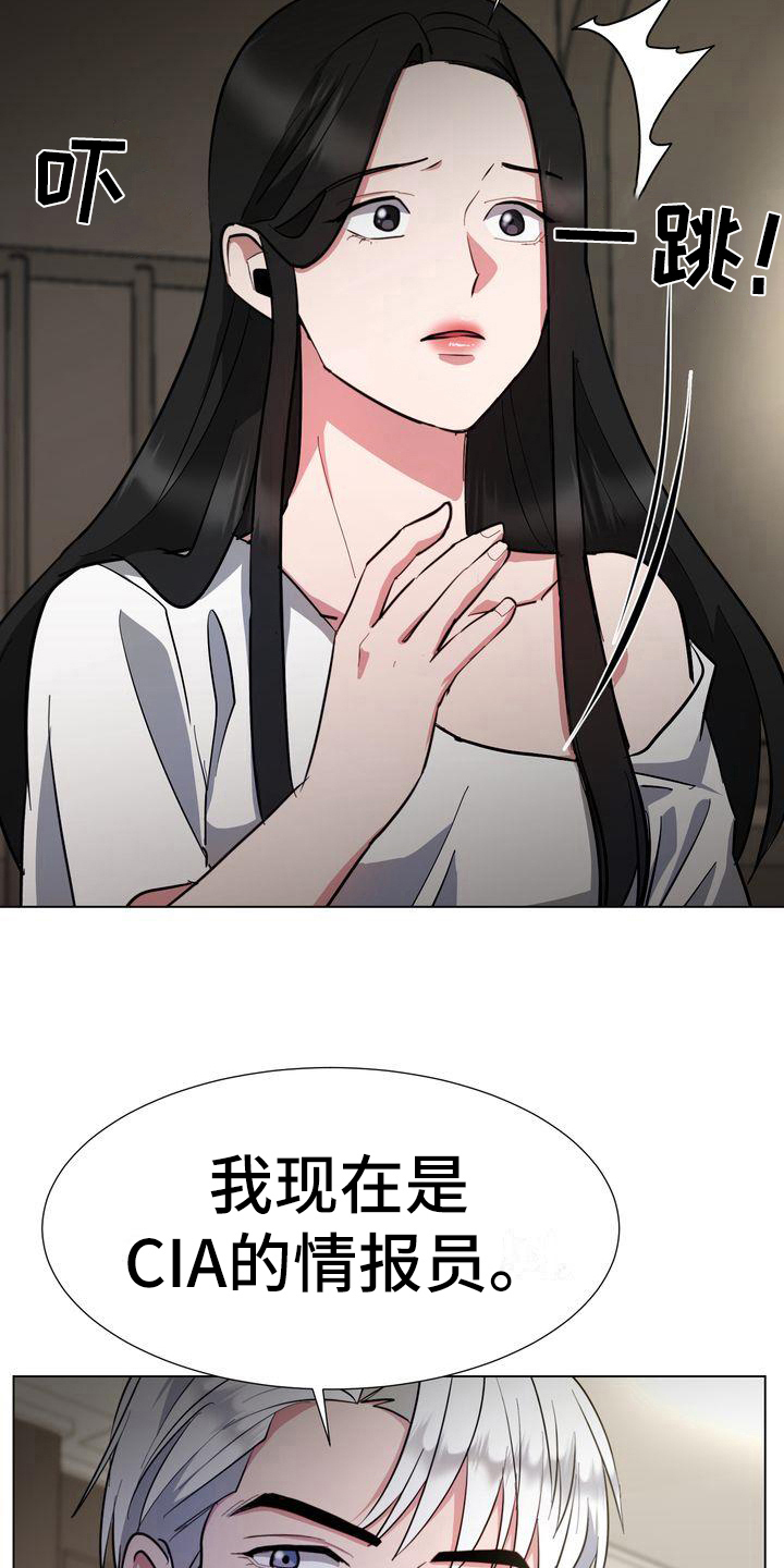 《特殊的行动》第9章特工 第14页