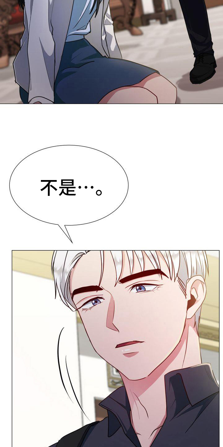 《特殊的行动》第6章枪击 第6页