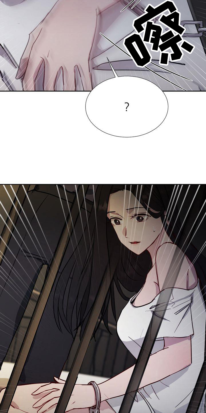 《特殊的行动》第1章领养 第4页