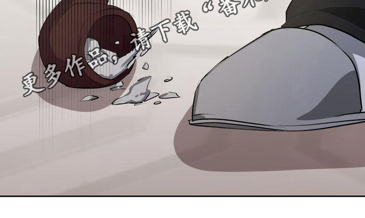 《特殊的行动》第4章出事 第17页
