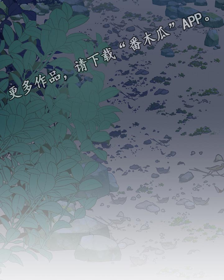 《遗失的物品》第55章容颜 第21页