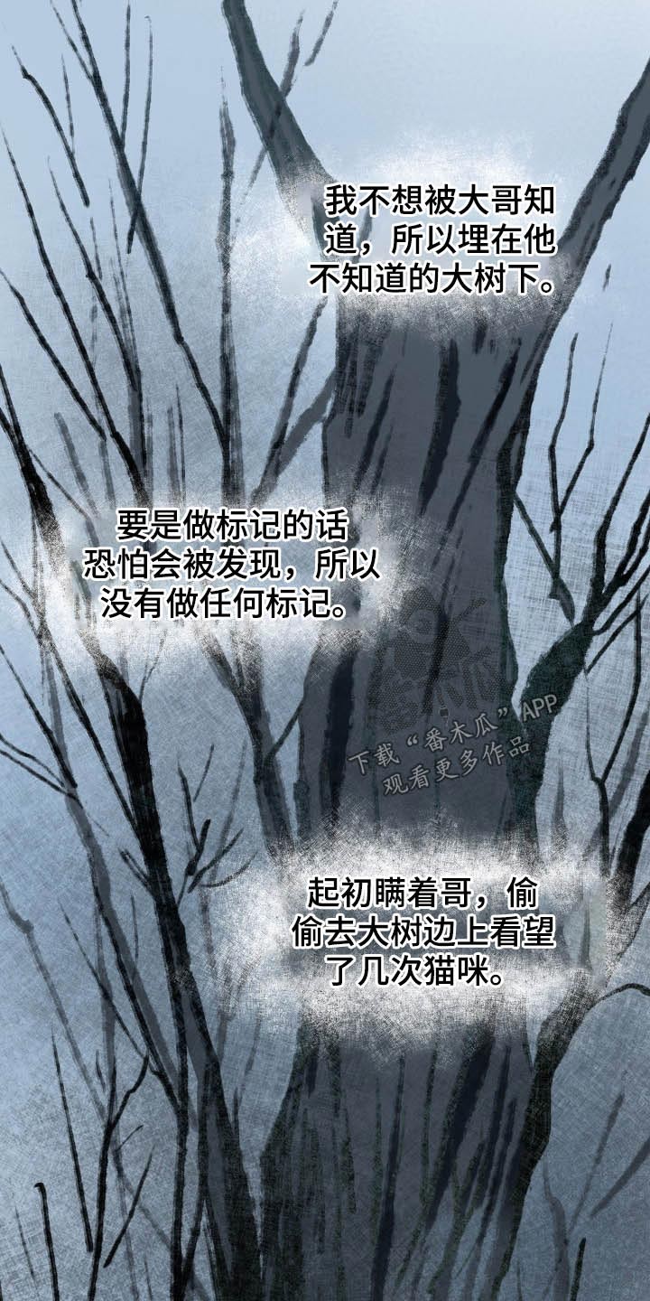 《遗失的物品》第45章猫咪 第13页