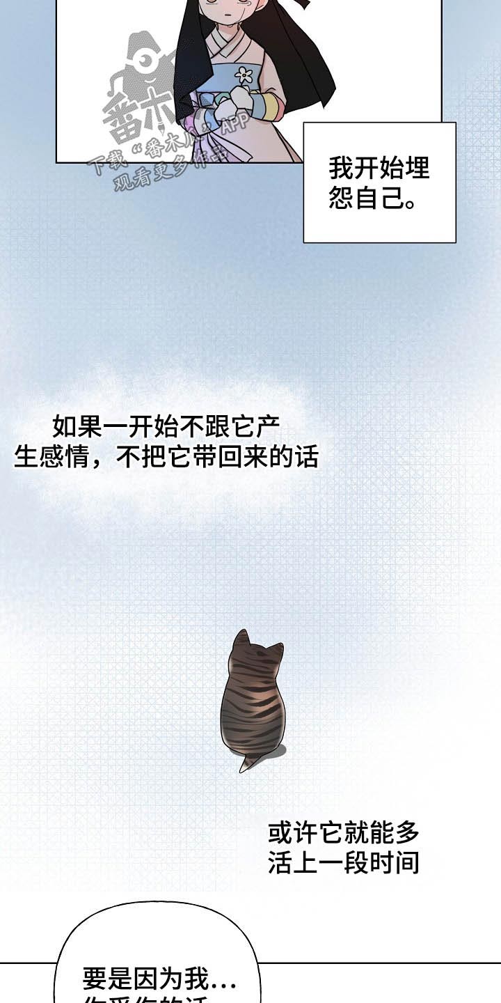 《遗失的物品》第45章猫咪 第15页