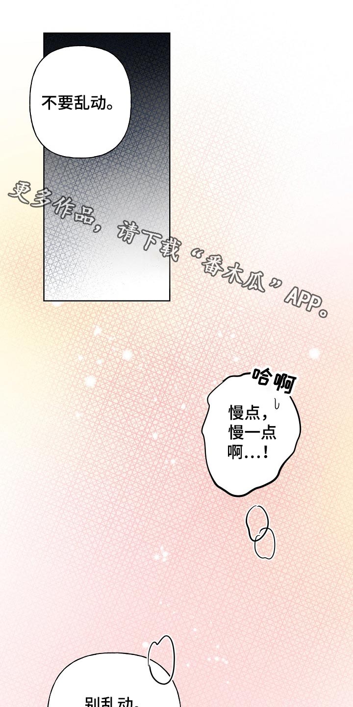 《遗失的物品》第40章执着 第1页