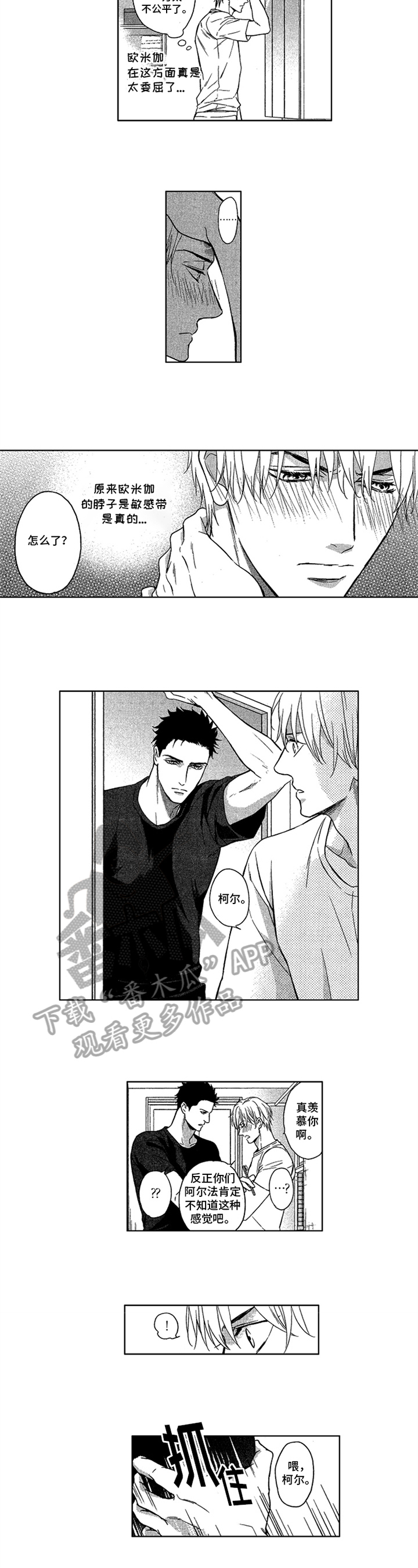 《标记欧米伽》第25章专属标记【完结】 第5页