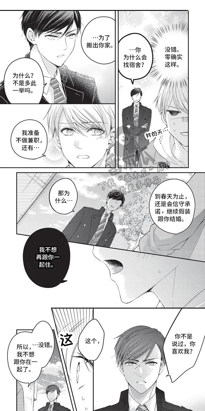 《结婚规则》第11章你的港湾（完结） 第1页