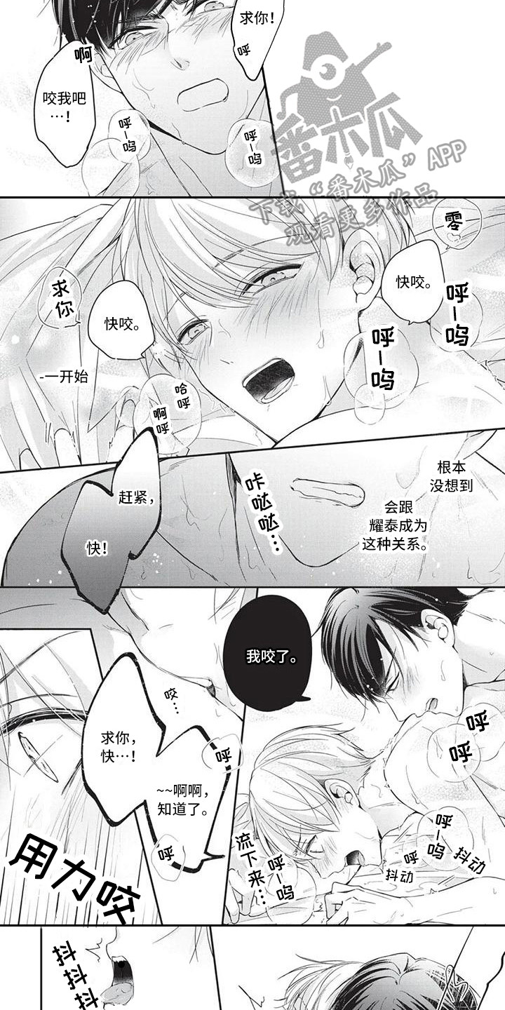 《结婚规则》第11章你的港湾（完结） 第9页