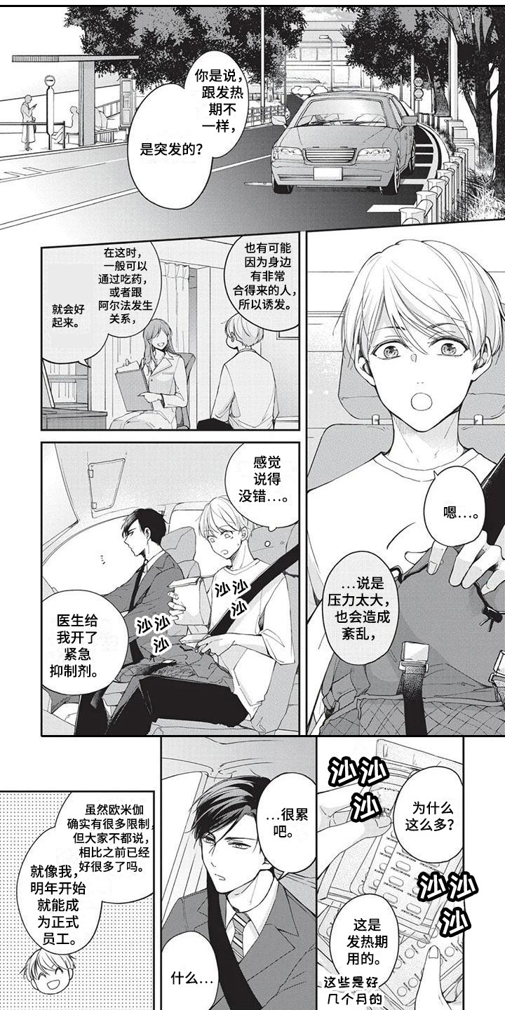 《结婚规则》第3章老熟人 第1页
