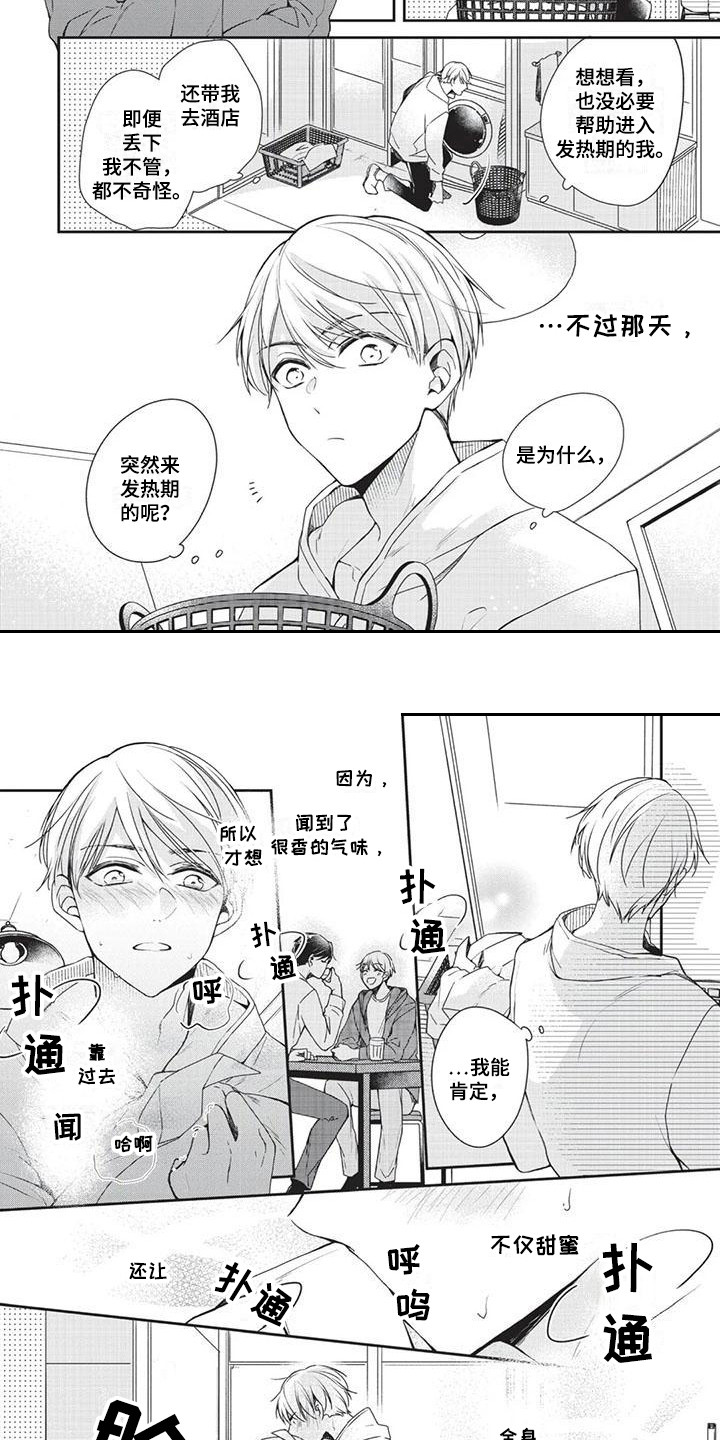 《结婚规则》第2章气味 第6页
