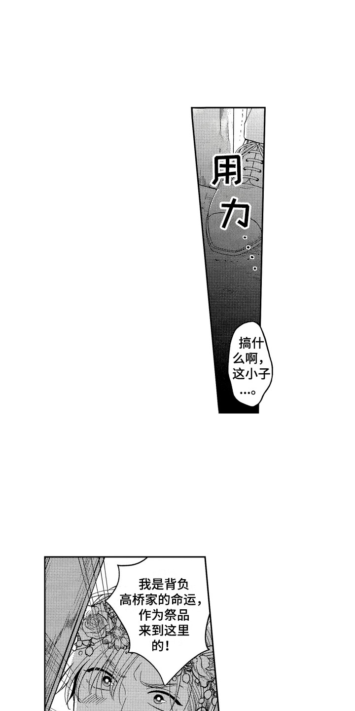 《最佳祭品》第1章祭品 第13页