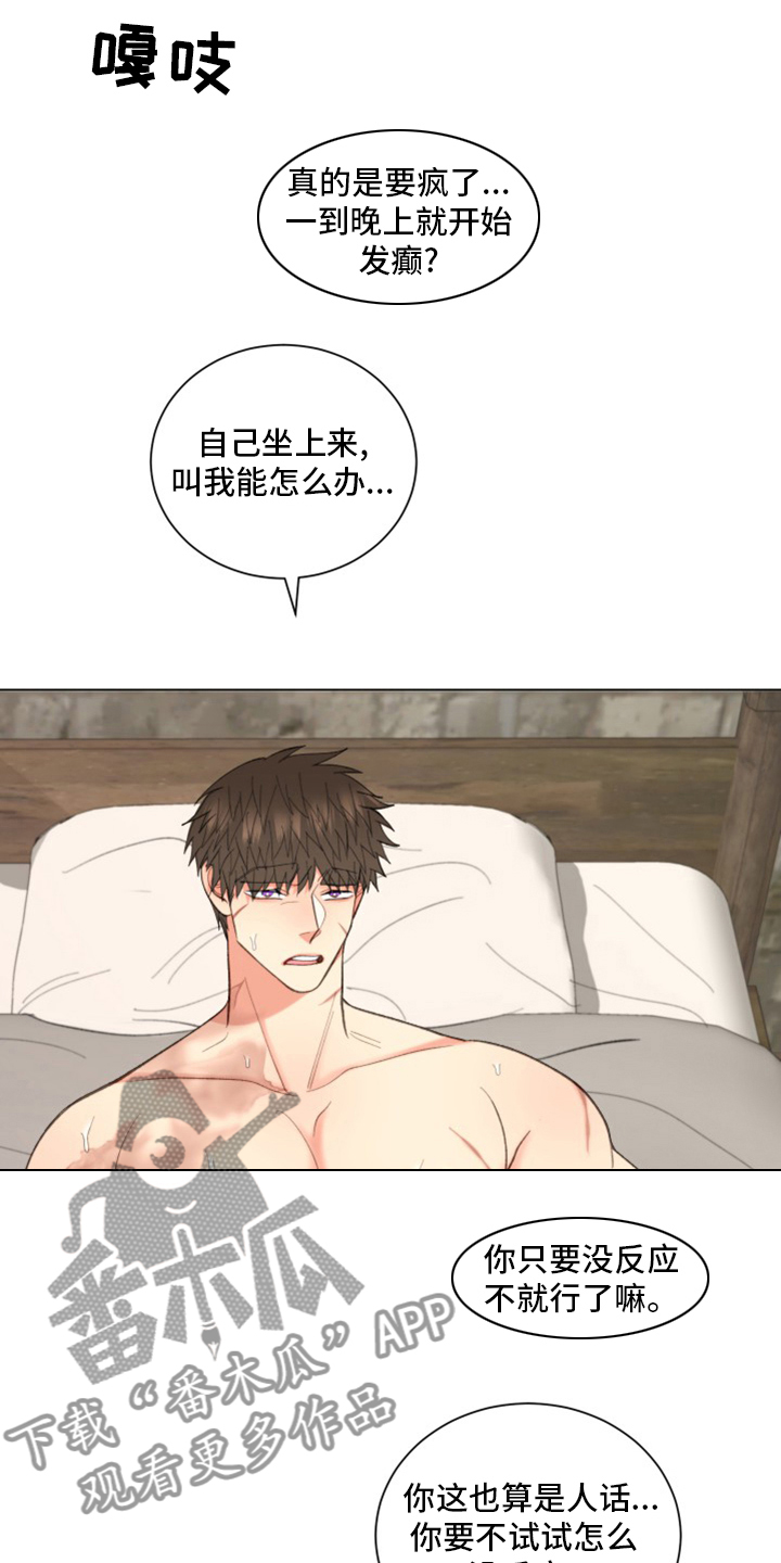 《书中世界》第46章【番外】微妙的缘分 第13页