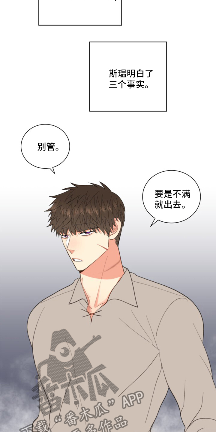 《书中世界》第46章【番外】微妙的缘分 第5页
