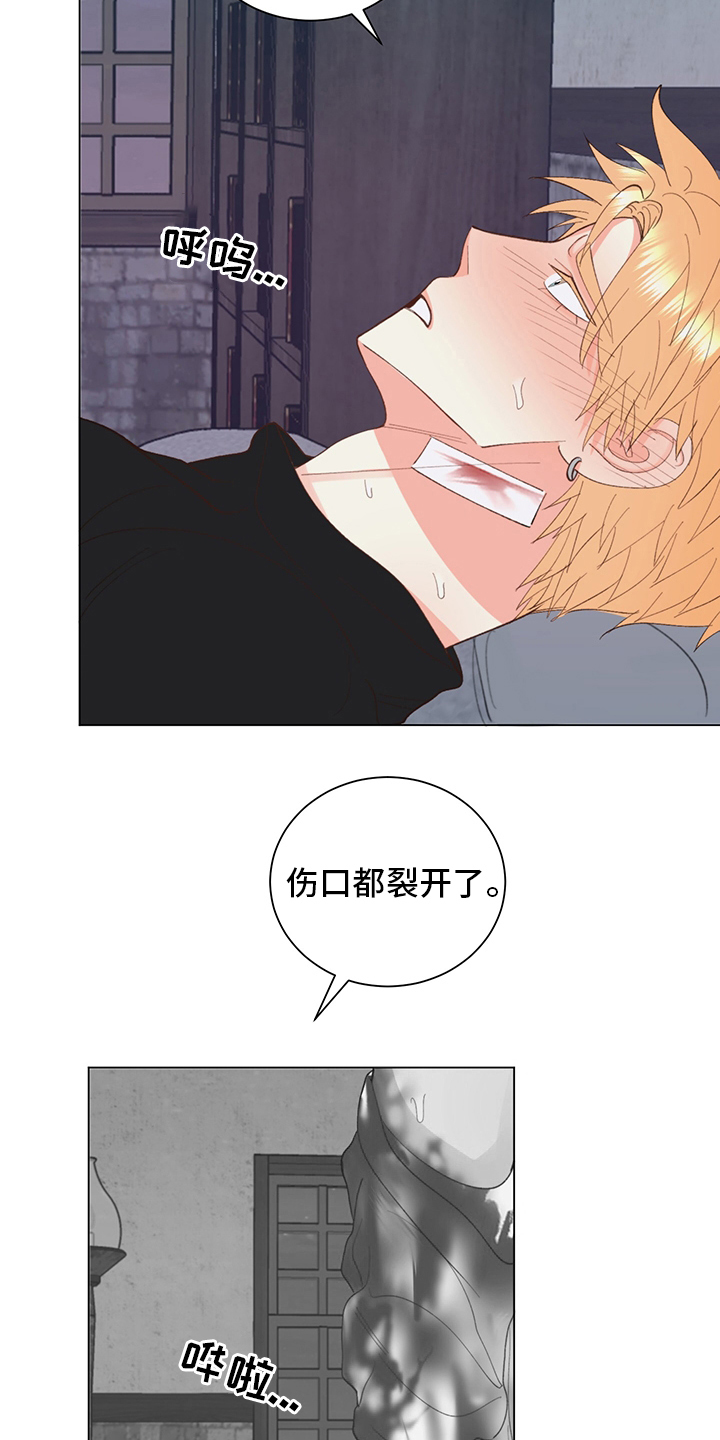 《书中世界》第42章【番外】行吧 第13页