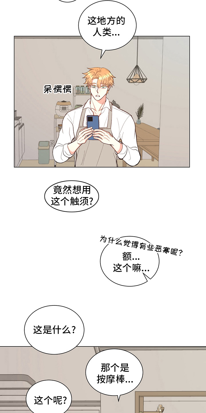 《书中世界》第38章【番外】玩具 第10页