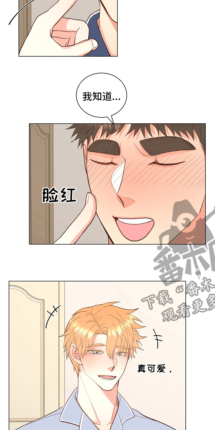 《书中世界》第38章【番外】玩具 第15页