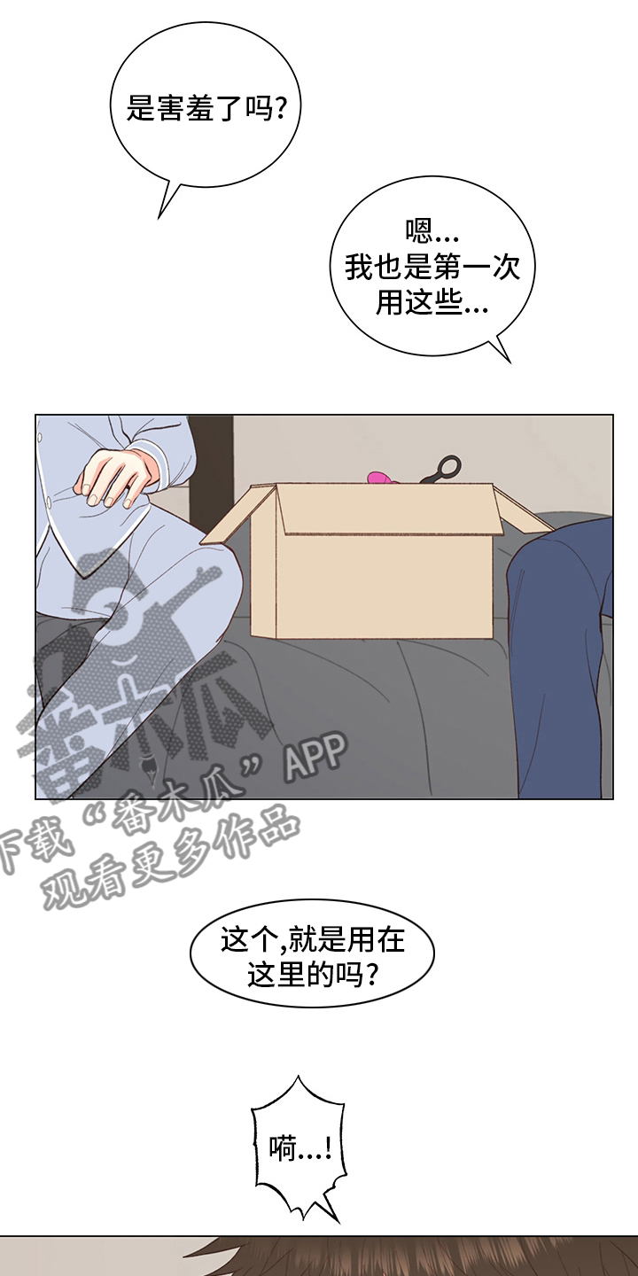 《书中世界》第38章【番外】玩具 第17页