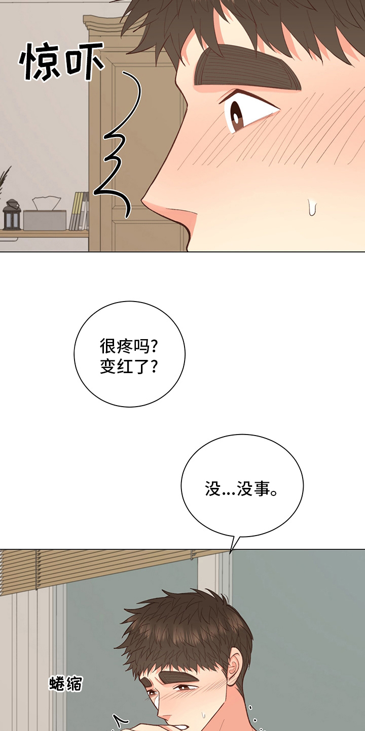 《书中世界》第38章【番外】玩具 第18页