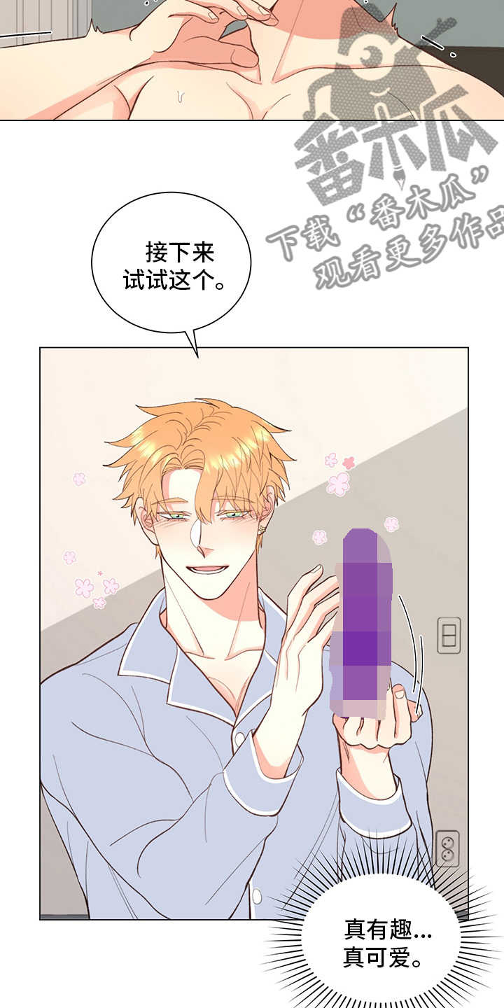 《书中世界》第38章【番外】玩具 第19页