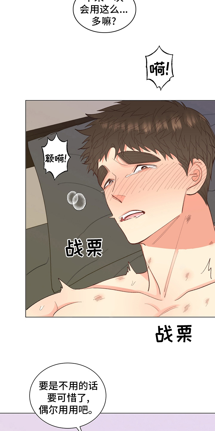 《书中世界》第38章【番外】玩具 第28页
