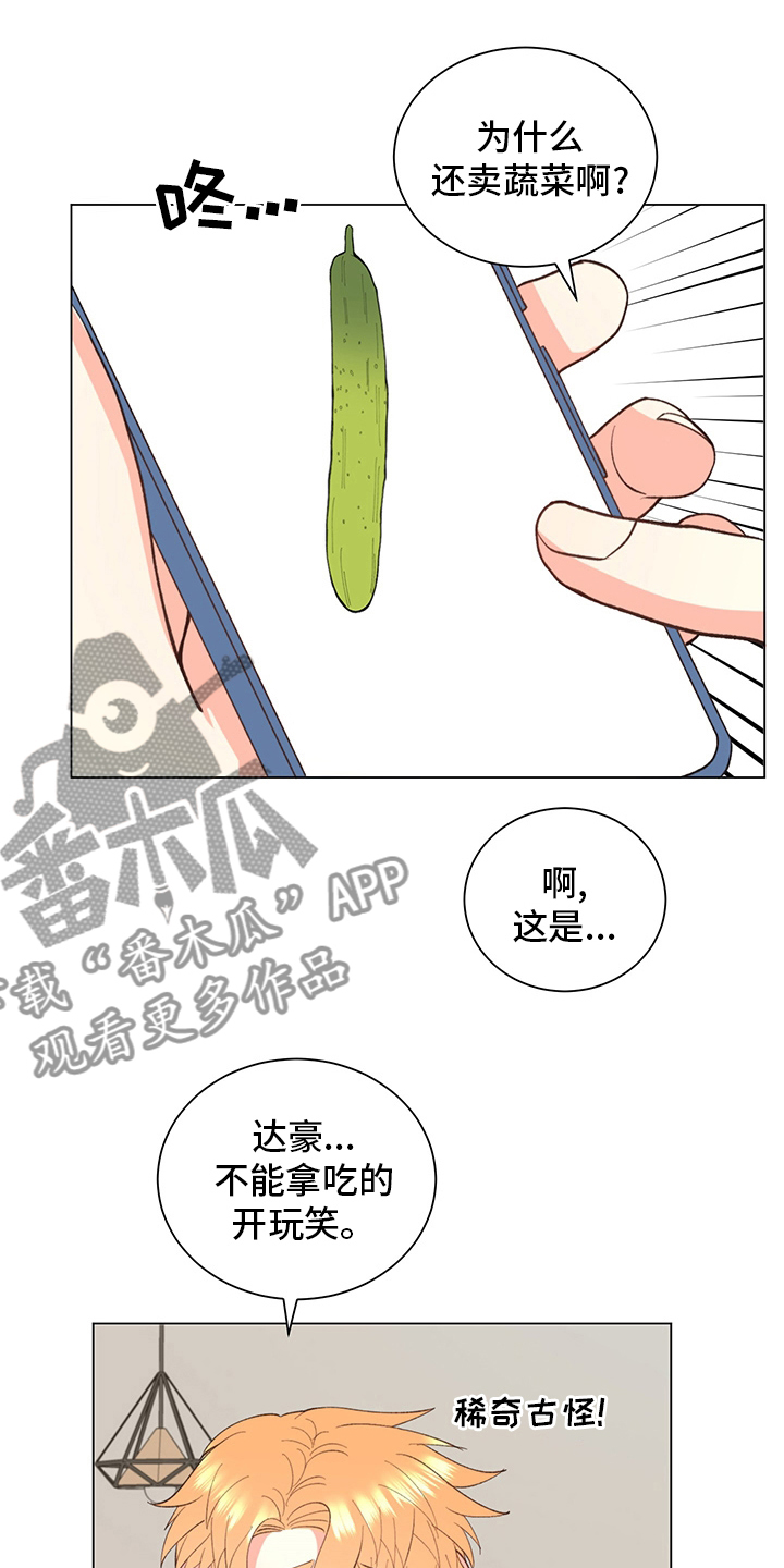 《书中世界》第38章【番外】玩具 第4页