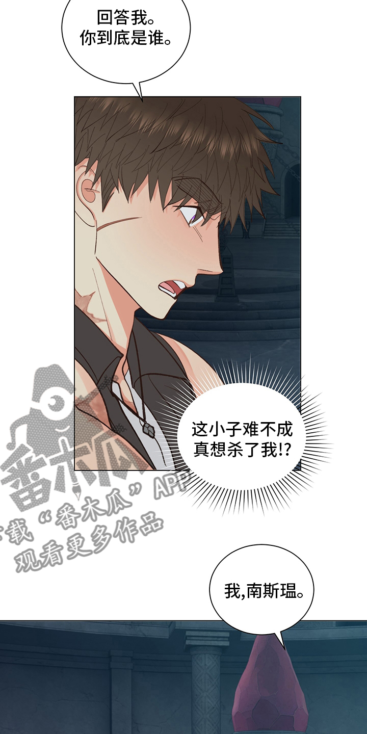 《书中世界》第40章【番外】紫色瞳孔 第13页