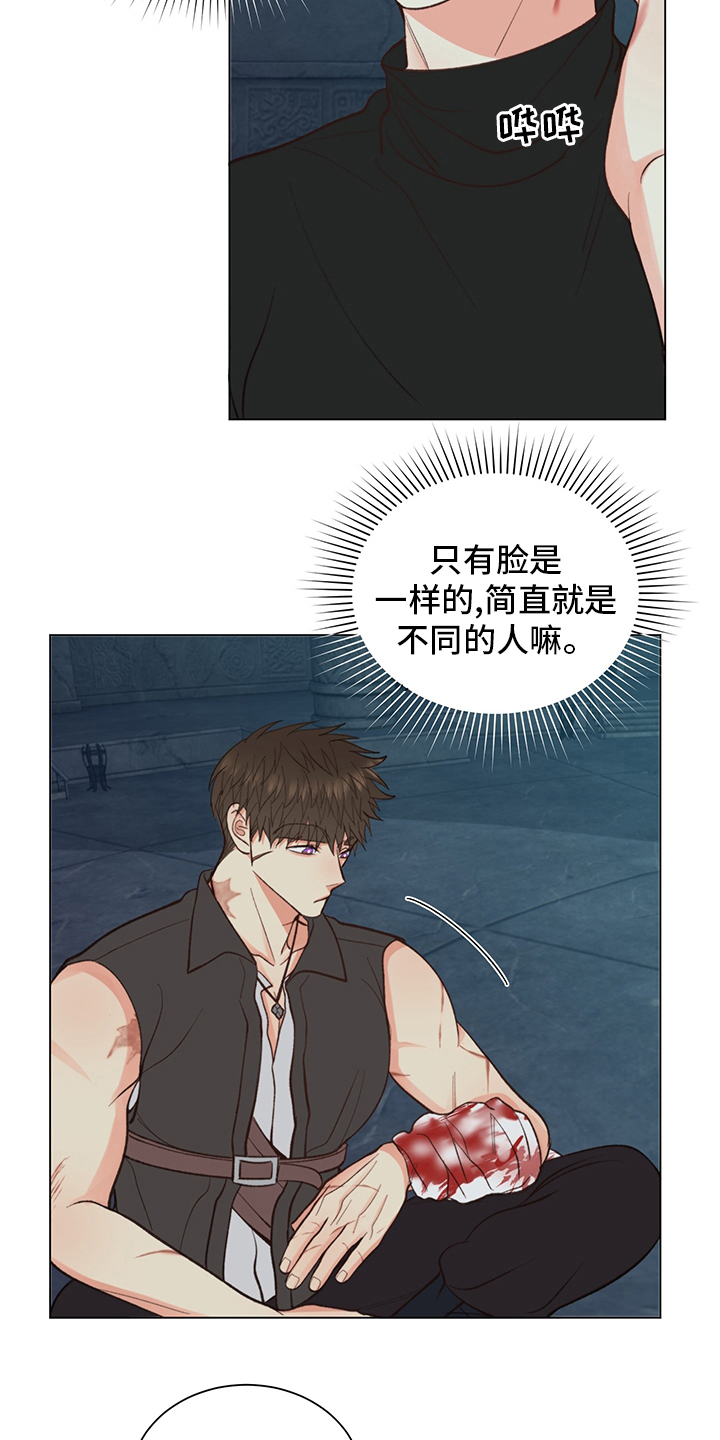 《书中世界》第40章【番外】紫色瞳孔 第16页