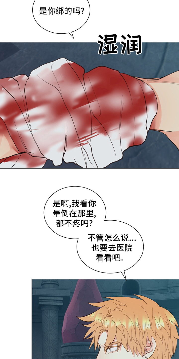 《书中世界》第40章【番外】紫色瞳孔 第17页