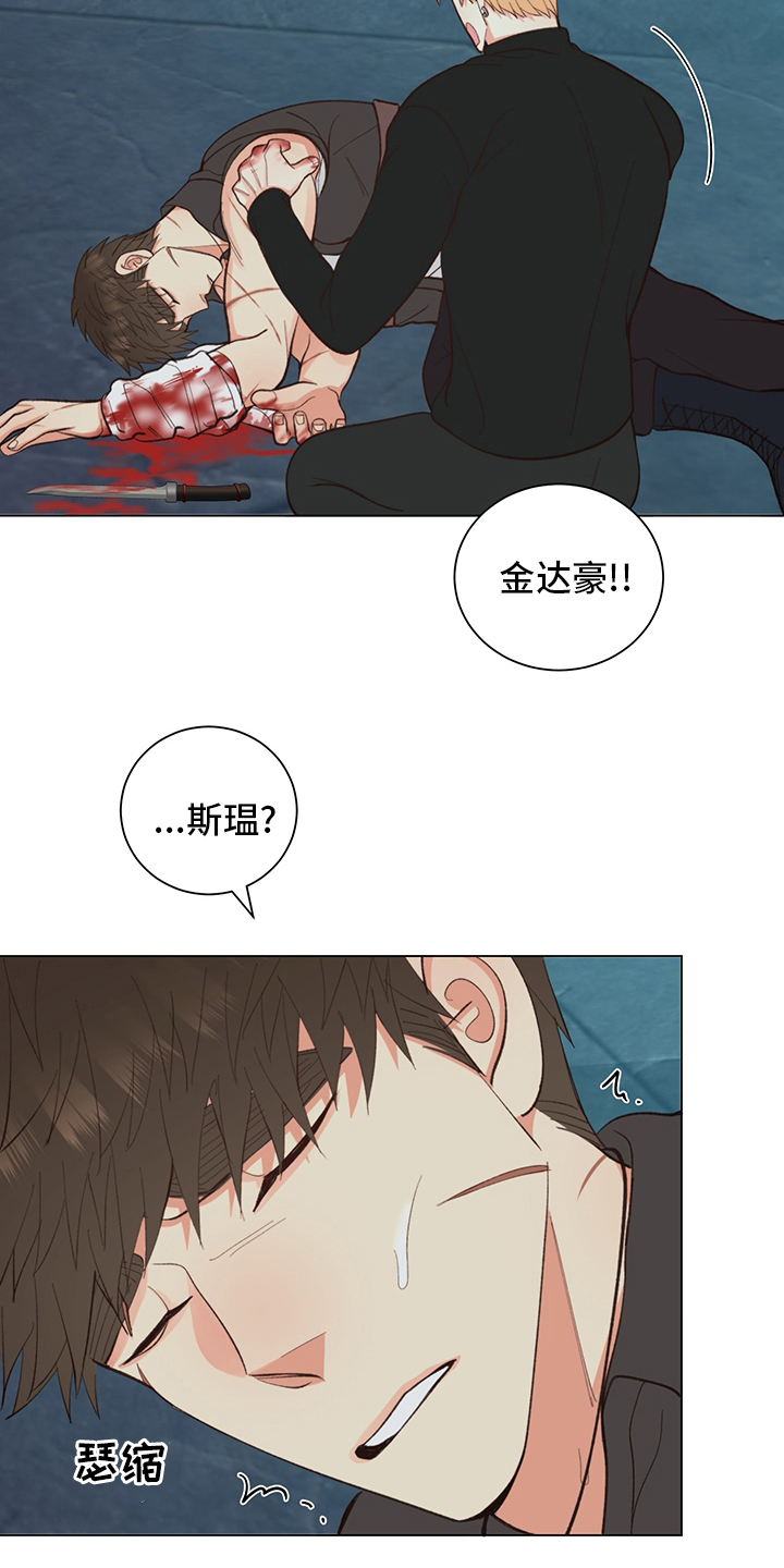 《书中世界》第40章【番外】紫色瞳孔 第6页