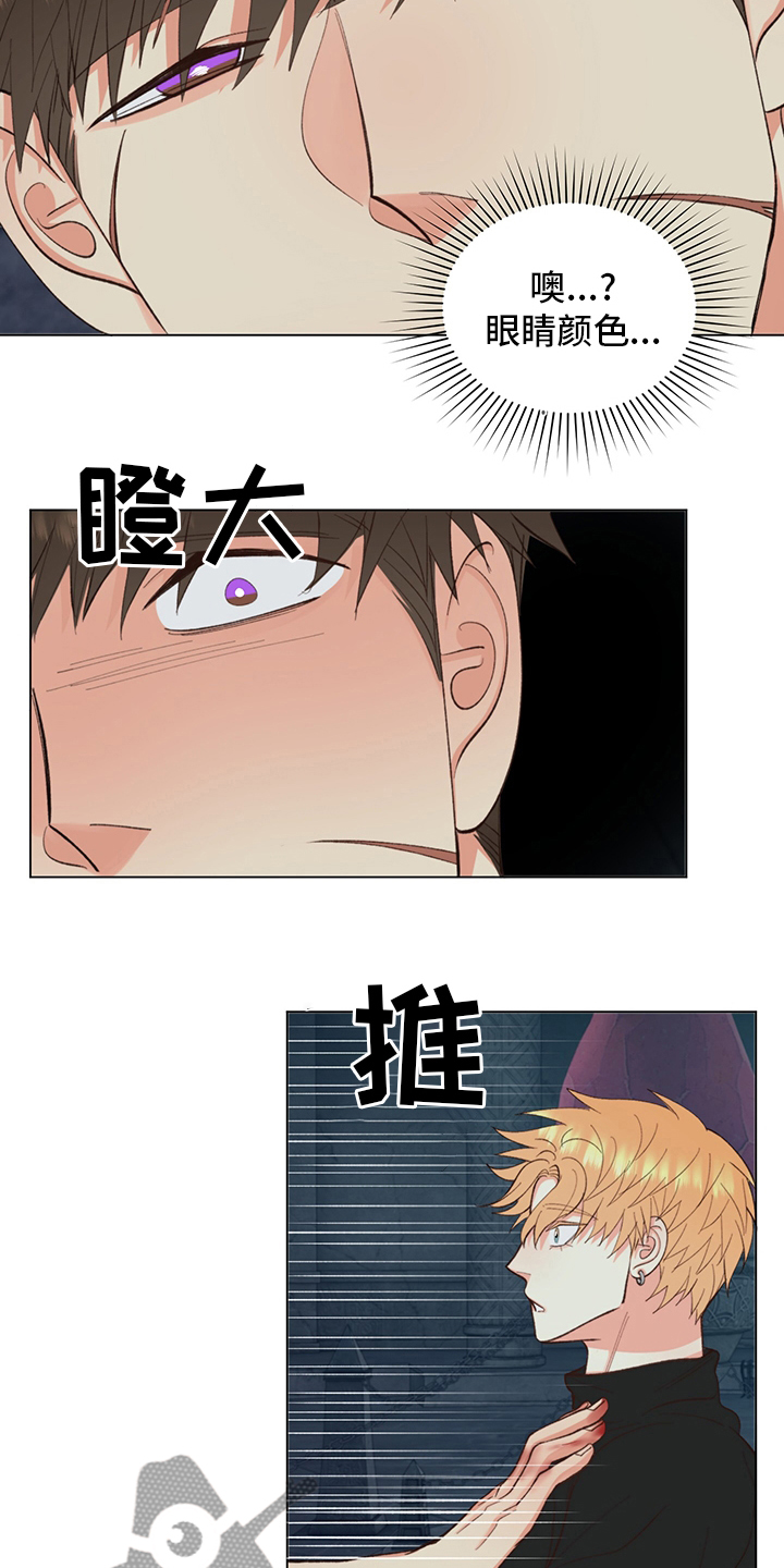 《书中世界》第40章【番外】紫色瞳孔 第8页