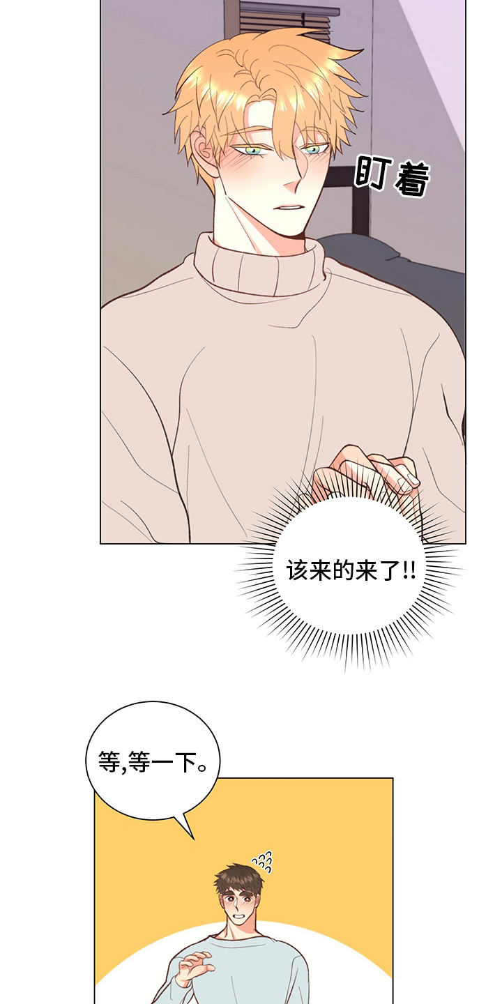 《书中世界》第37章【番外】一起生活 第10页