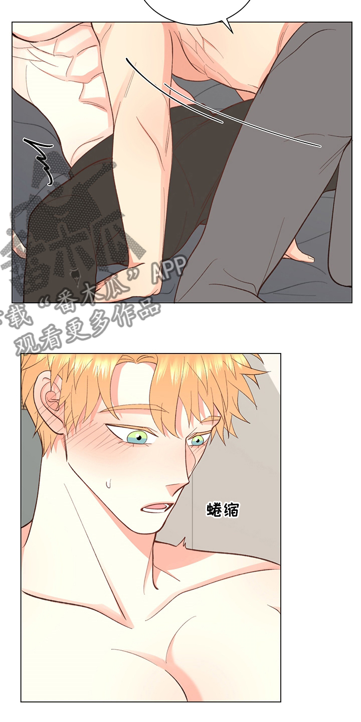 《书中世界》第37章【番外】一起生活 第13页