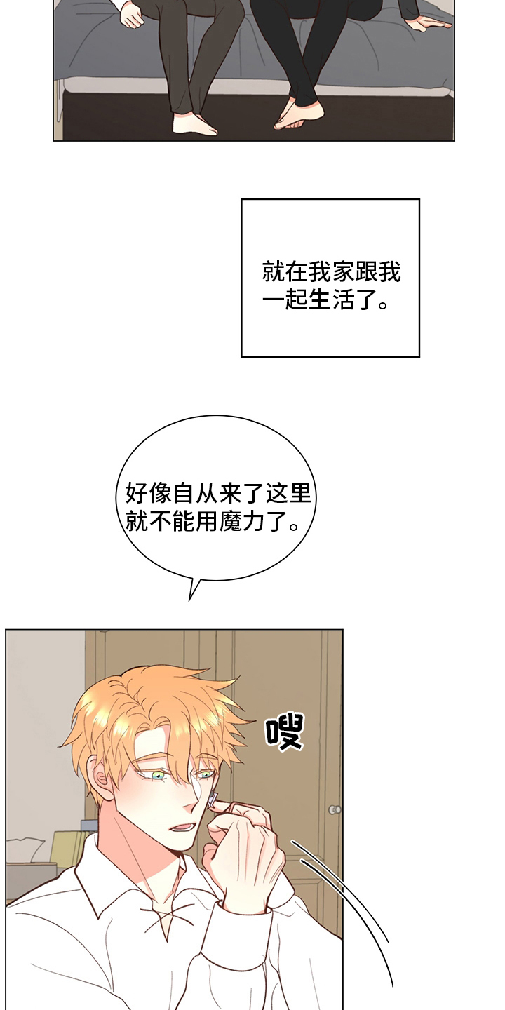 《书中世界》第37章【番外】一起生活 第2页