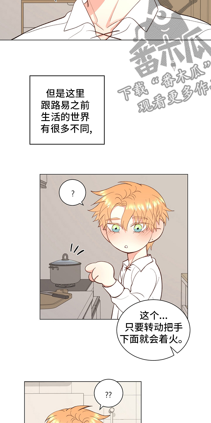 《书中世界》第37章【番外】一起生活 第5页