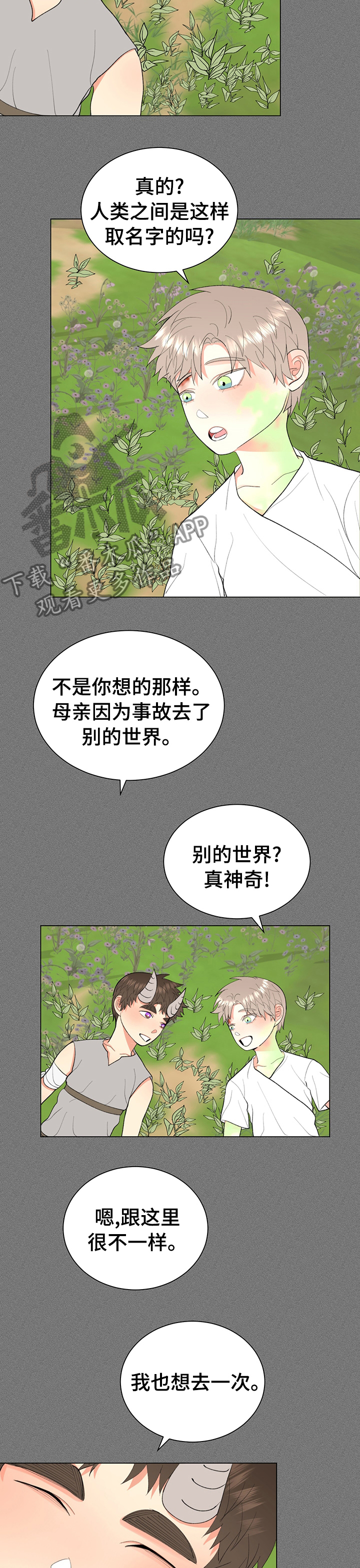 《书中世界》第20章平静 第4页