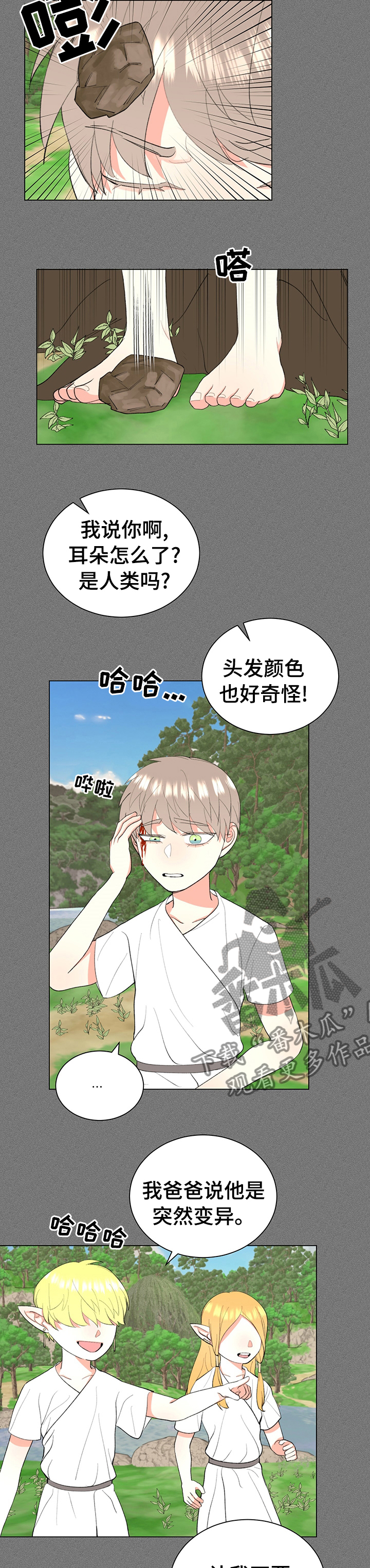 《书中世界》第19章变异精灵 第4页