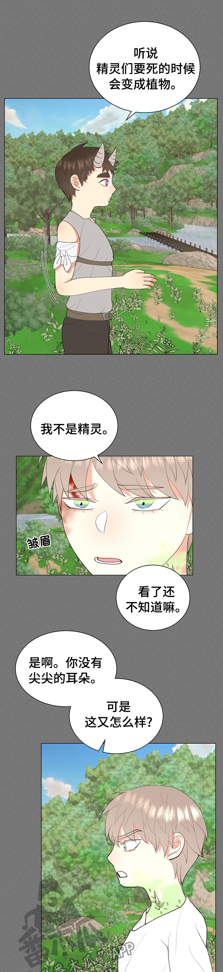 《书中世界》第19章变异精灵 第8页