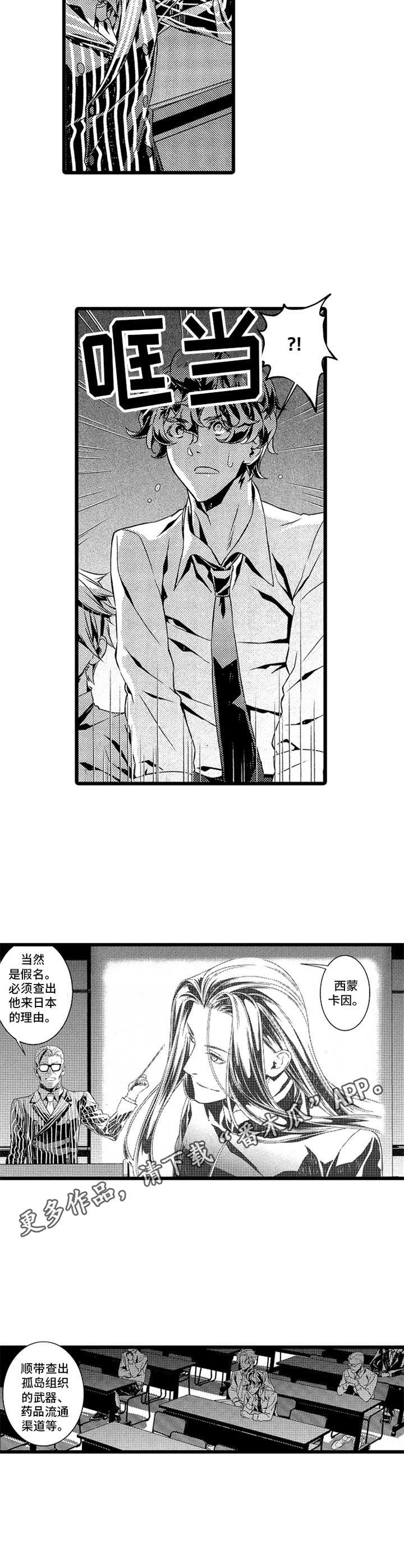 《卧底调查员》第13章名字 第10页