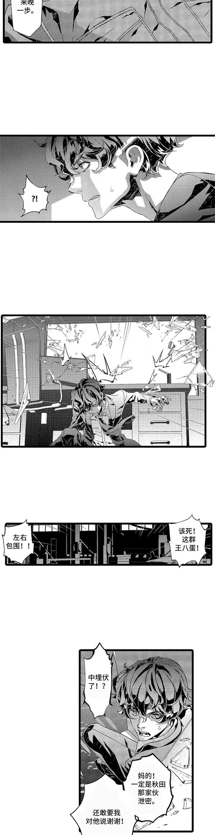 《卧底调查员》第9章埋伏 第9页