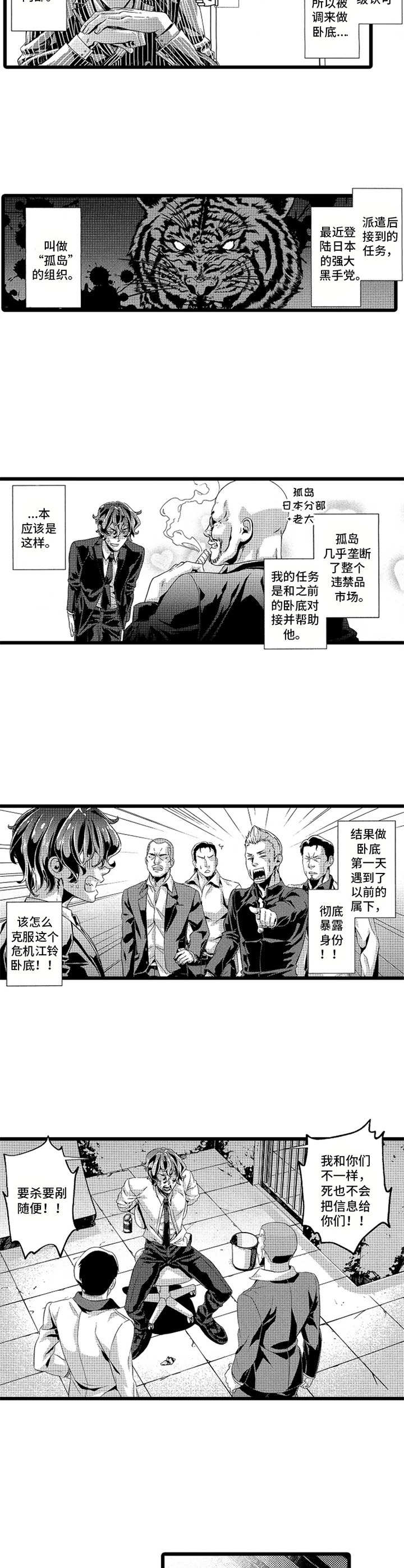 《卧底调查员》第1章卧底 第2页