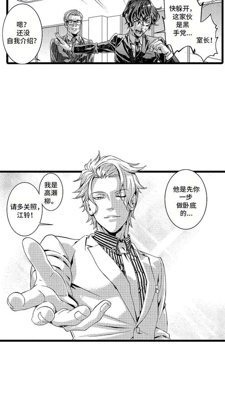 《卧底调查员》第2章搭档 第11页
