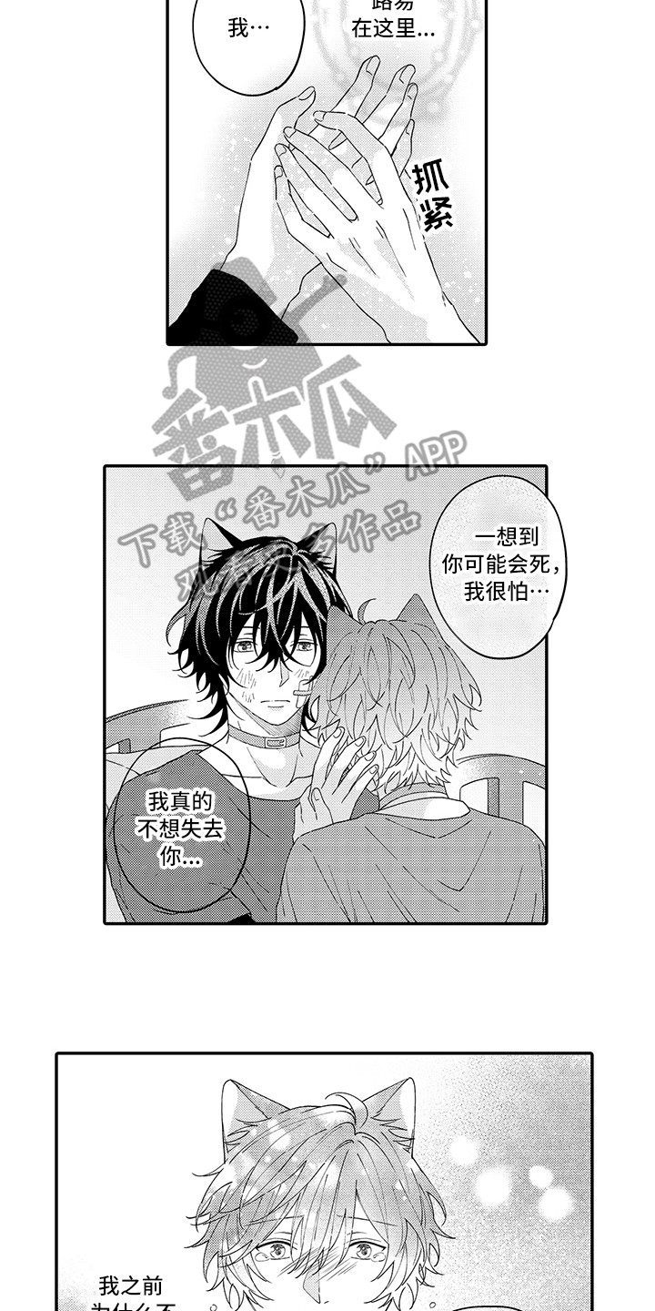 《猫咪之家》第20章求救 第11页
